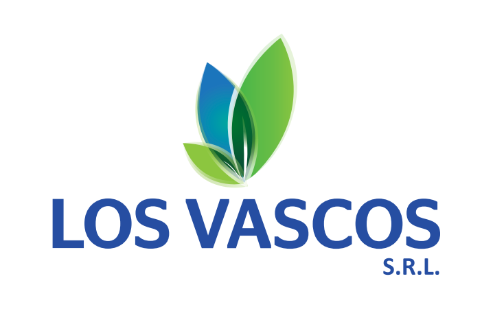 logo los vascos